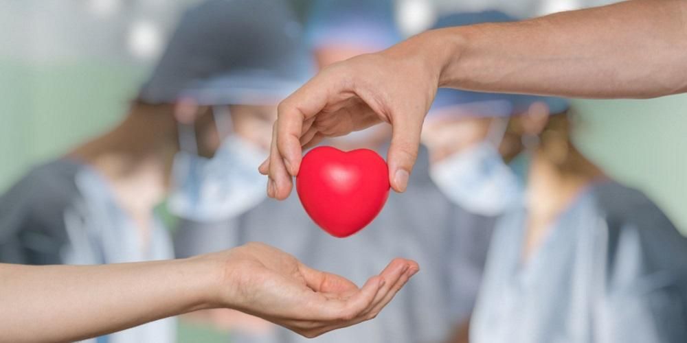 Fakten zur Organtransplantation, einschließlich ihrer Vorteile und Risiken