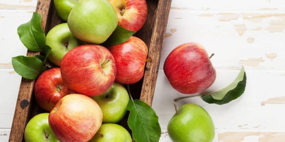 Вивчення вмісту та користі яблук для здоров’я