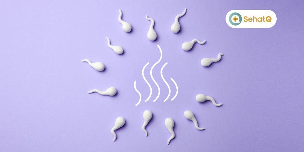 Entender el olor de los espermatozoides es normal y no