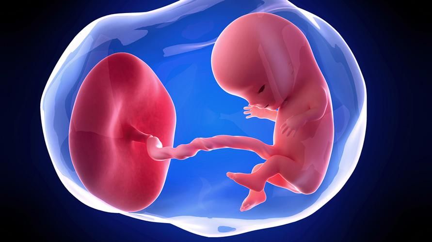 11 tjedana trudnoće, kakav je razvoj stanja fetusa i majke?