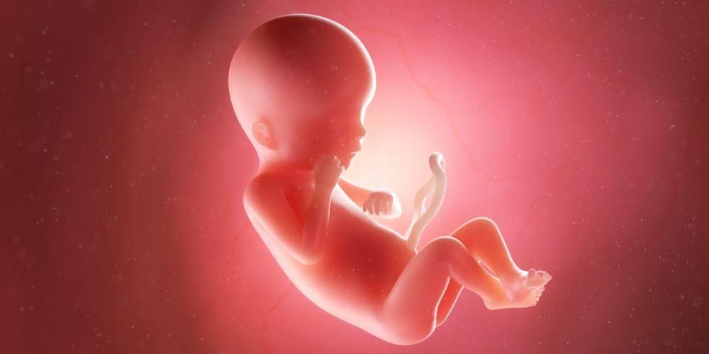 Peso fetal estimado según la edad gestacional, ¿cuál es la fórmula?